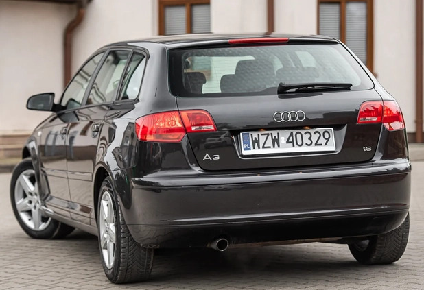 Audi A3 cena 22900 przebieg: 237000, rok produkcji 2006 z Bełchatów małe 211